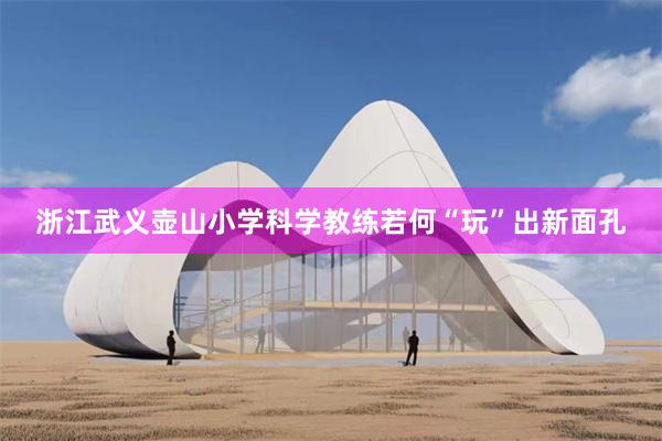 浙江武义壶山小学科学教练若何“玩”出新面孔