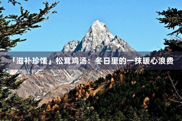 「滋补珍馐」松茸鸡汤：冬日里的一抹暖心浪费