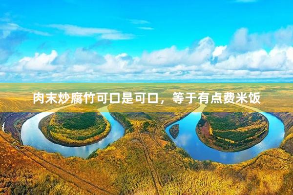 肉末炒腐竹可口是可口，等于有点费米饭