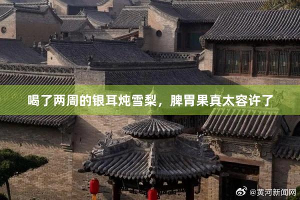 喝了两周的银耳炖雪梨，脾胃果真太容许了