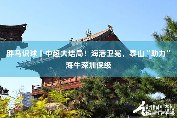 胖马识球丨中超大结局！海港卫冕，泰山“助力”海牛深圳保级