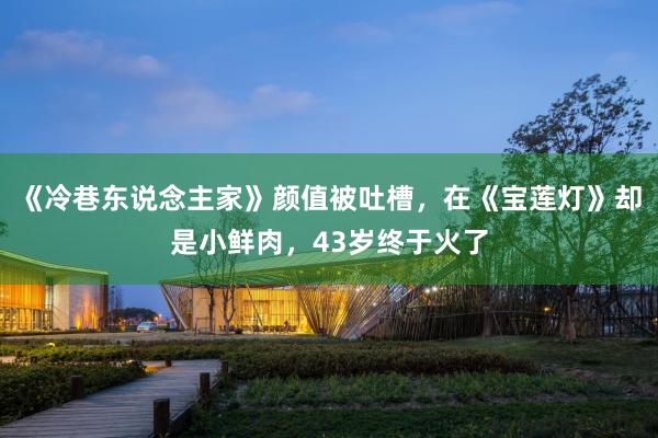 《冷巷东说念主家》颜值被吐槽，在《宝莲灯》却是小鲜肉，43岁终于火了