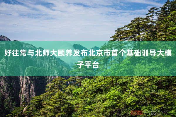 好往常与北师大颐养发布北京市首个基础训导大模子平台