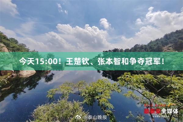 今天15:00！王楚钦、张本智和争夺冠军！
