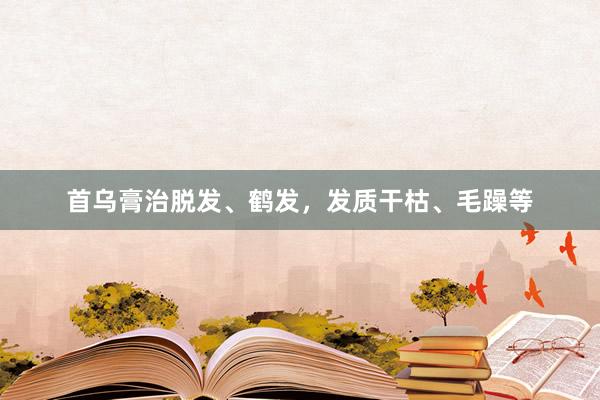首乌膏治脱发、鹤发，发质干枯、毛躁等