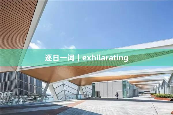 逐日一词｜exhilarating