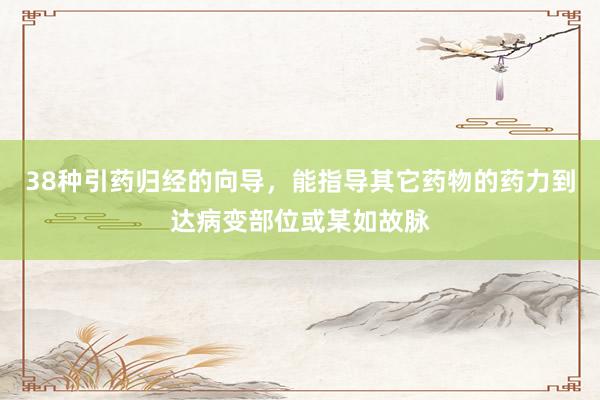 38种引药归经的向导，能指导其它药物的药力到达病变部位或某如故脉